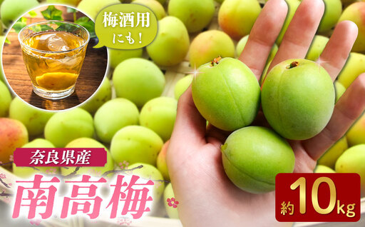 なかにし農園の南高梅 約10kg(梅干し・梅酒用) | 果実 なかにし農園 6月 旬 大容量 産地直送 奈良県 五條市