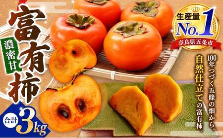 富有柿 約 3kg (Mサイズ以上混載）  |  大人気 人気 富有 柿 かき フルーツ 果物 奈良県 五條市 萩本農園 ギフト おすすめ 11月 発送 カキ 秋の味覚 旬 甘い 大容量 農家直送 産地直送 グルメ お取り寄せ 送料無料  食物繊維 豊富 美容 健康 | 奈良県 五條市