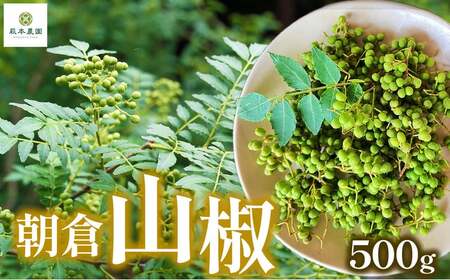 朝倉山椒 500g | 朝倉 山椒 さんしょう サンショウ 胡椒 調味料 スパイス 家庭用 自宅用 産地直送 5月 発送 国産 人気 送料無料 グルメ お取り寄せ 萩本農園 | 奈良県 五條市