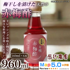梅酢 (160ml) × 6本 | 梅酢 梅 ウメ うめ 酢 す 発酵 調味料 国産 健康 美容 有機 自然 酢の物 ドレッシング 浅漬け | 奈良県 五條市