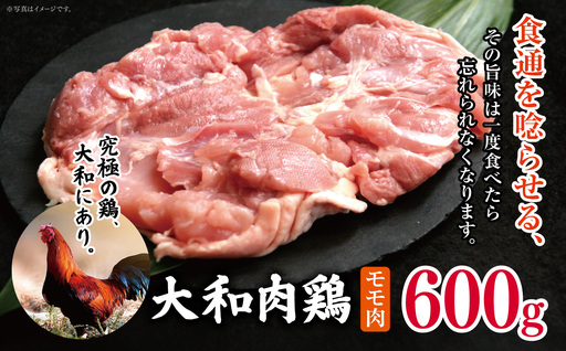大和肉鶏 モモ肉 600g | 国産 高品質 鶏肉 モモ肉 | 奈良県 五條市