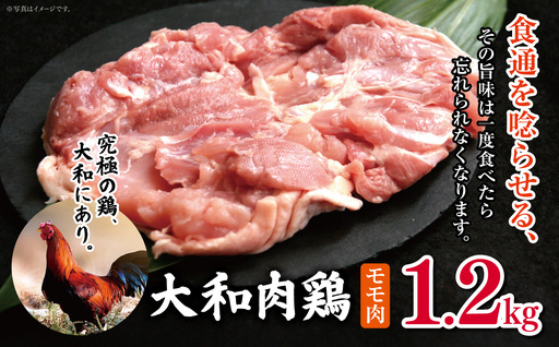 大和肉鶏 モモ肉 1.2kg | 国産 高品質 鶏肉 モモ肉 | 奈良県 五條市