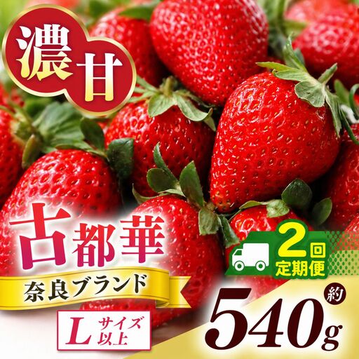 [ 先行予約 ][ 定期便 2回 ]古都華 約540g (270g×2P)Lサイズ以上