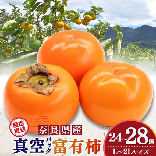 真空パックで 新鮮 ！ 貯蔵 富有柿 24 個～28 個 L ～ 2L サイズ |お年賀 フルーツ くだもの 果物 柿 かき カキ 富有柿 奈良県 五條市 デザート 人気 国産 産地直送 果実 12月 順次発送 秋 旬 味覚 グルメ お取り寄せ 送料無料 大容量 農家直送 ビタミン タンニン 食物繊維 豊富 美容 健康 特産品 甘い 多汁 甘柿 杉原農園 柔らかい 冷蔵