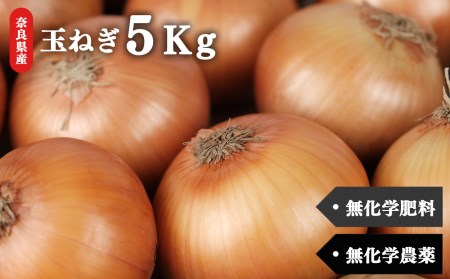 生命の農法(無化学農薬・無化学肥料栽培)玉ねぎ 5kg
