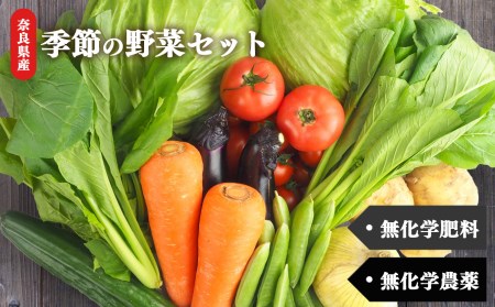 生命の農法（無化学農薬・無化学肥料栽培）季節の野菜セット | ヤサイ 野菜 やさい 詰め合わせ  奈良県 五條市