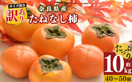 【令和7年発送 先行予約】 訳あり たねなし柿 約10kg （ 40～50個 ) 2024年 大人気 | 種無し たねなし 柿 フルーツ 果物 くだもの カキ かき 農家直送 家庭用 フードロス 秋の味覚 旬 大小混合 奈良県 五條市 名産地 