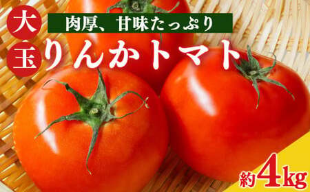 トマト約4kg 23玉〜25玉 | ヤサイ 野菜 やさい トマト とまと 野菜 奈良県 五條市