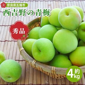 [厳選][先行予約]西吉野の青梅(南高梅)約4kg(秀品)※2025年6月上旬〜2025年6月下旬頃発送予定 | 果実 かじつ カジツ 梅 うめ ウメ 梅干し うめぼし 奈良県 五條市 健康