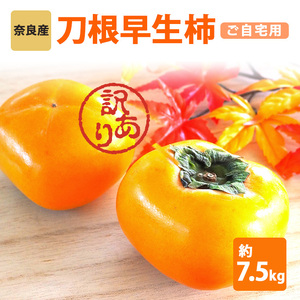 y ߘa 7N s \ zm Sunt@[ n   Ȃ   ` p  7.5kg | t[c  ʕ `  JL ` ޗǌ ܞs 󂠂 ˂Ȃ p ƒp