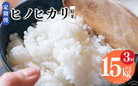 [ 定期便 3回 ]奈良県産 ヒノヒカリ 精米 5kg ( 計15kg ) | コメ 米 こめ ひのひかり もちもち 奈良県 五條市