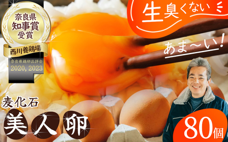 i퉷jl܂ 80 MTCY ^ {{  { ^}S Yi ޗǌ 䏊s