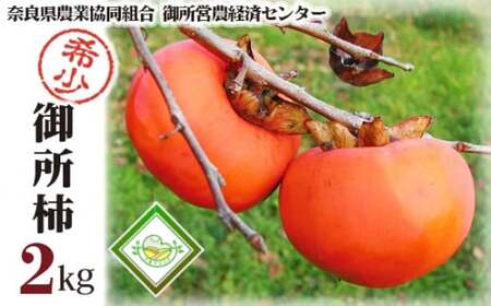 䏊` 2kg ^ ޗǌ_Ƌg Ê`  ʕ  Yi ޗǌ 䏊s