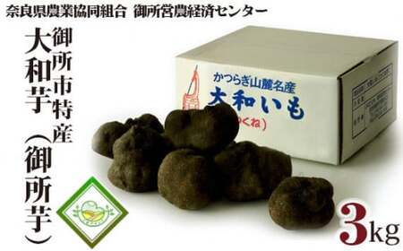 䏊s Y a i䏊j ^ ޗǌ_Ƌg  J  H@ ޗǌ 䏊s