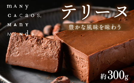 テリーヌ チョコレート チョコ カカオ 濃厚 おやつ スイーツ デザート 洋菓子 贈り物 手土産 プレゼント バレンタイン 冷凍 奈良県 生駒市 送料無料