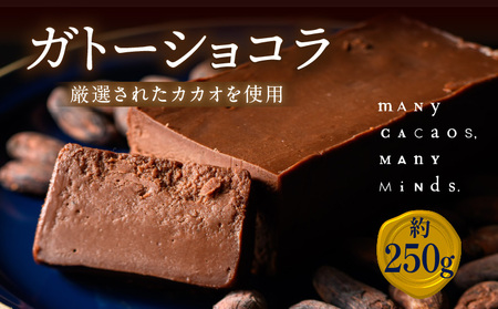 ガトーショコラ チョコレート チョコ カカオ 濃厚 おやつ スイーツ デザート 洋菓子 贈り物 手土産 プレゼント バレンタイン 冷凍 奈良県 生駒市 送料無料