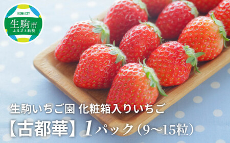 「古都華」化粧箱入りいちご 甘みと酸味のバランスが抜群 古都華 いちご 1パック 9~15粒 化粧箱 生駒いちご園 果物 フルーツ デザート 贈り物 お取り寄せ お取り寄せフルーツ 奈良県 生駒市 送料無料