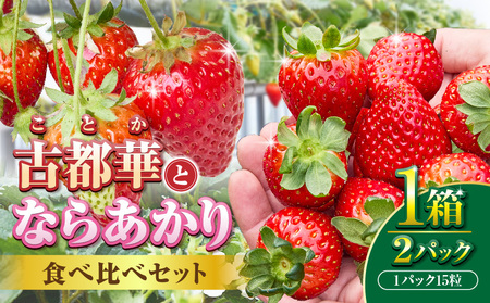 [2026年1月上旬〜3月下旬発送]古都華とならあかりの食べ比べセット 1パック×2(1パック15粒) 化粧箱 国産 国産苺 ストロベリー 果物 果実的野菜 フルーツ デザート おやつ 糖度 濃厚 香り 鮮やか 甘い ビタミン 奈良県産 お取り寄せ 贈答用 送料無料