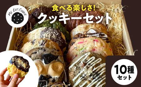 クッキー10種セット クッキー 焼菓子 洋菓子 チョコレート 抹茶 バニラ オレオ レモン ホワイトチョコ キャラメル イチゴ パイン 奈良県 生駒市 送料無料