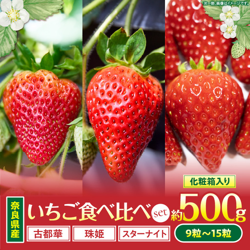 [2027年1月〜2027年3月上旬発送]「奈良県産いちご3種セット」化粧箱入りいちご 食べ比べ イチゴ 苺 古都華 珠姫 スターナイト 化粧箱 生駒園 果物 フルーツ デザート 贈り物 お取り寄せ お取り寄せフルーツ 奈良県 生駒市 送料無料