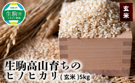 生駒高山育ちの ヒノヒカリ玄米5kg(生産者 上武猛) 令和5年産新米