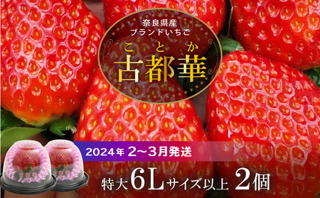 奈良県大和郡山市産いちご「古都華」 | 奈良県大和郡山市 | ふるさと