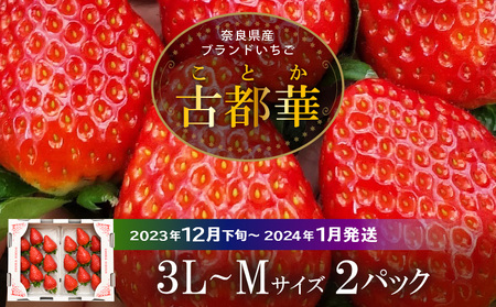 【2023年12月下旬～1月発送】高級いちご「古都華」3L～Mサイズ２パック