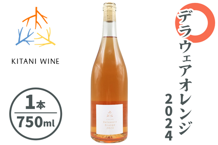 デラウェアオレンジ 2024 (750ml×1本)|ワイン 果実酒 奈良 香芝 [2910]
