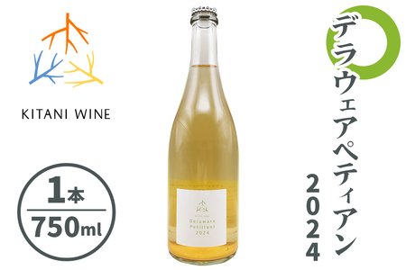 デラウェアペティアン 2024 (750ml×1本)|ワイン 果実酒 奈良 香芝 [2912]