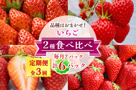[定期便/全3回] いちご 2種 (2パック) 食べ比べセット 毎月お届け 1月から3月発送|苺 イチゴ 果物 フルーツ 産地直送 [3233]
