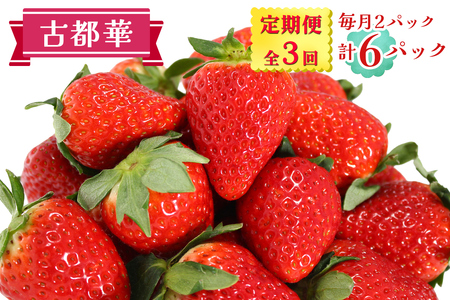 [定期便/全3回] 古都華 2パックセット 毎月お届け1月から3月発送|ことか いちご 苺 イチゴ 果物 フルーツ 産地直送 [3234]