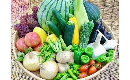 野菜と果物セット 産地直送!新鮮とれたて旬の野菜&季節のフルーツ [果実的野菜 (イチゴ・スイカ・メロン・まくわ等) を含む] 1種以上 約1kg [3244]