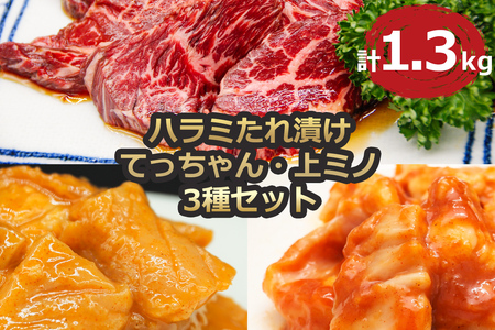 ハラミ たれ漬け てっちゃん 上ミノ 3種セット 1.3kg [2175]
