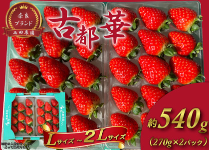 いちご イチゴ 古都華 L〜2Lサイズ 270g×2P 計540g | いちご イチゴ 苺 フルーツ 果物 くだもの 新鮮 いちご ブランドいちご 高級いちご 甘い いちご [nsdf002]