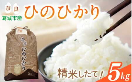 ys\zߘa7NY Ђ̂Ђ 5kg Ĕ_ƒ ^ Γc ̕ ӂ邳Ɣ[  āyishi002z