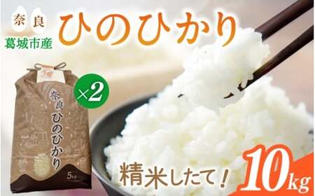 ys\zߘa7NY Ђ̂Ђ 10kgi5kg×2j Ĕ_ƒ ^ Γc ̕ ӂ邳Ɣ[  āyishi003z