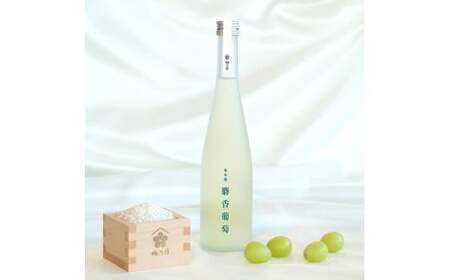 梅乃宿 果本酒 麝香葡萄(マスカット) 500ml 日本酒[umyd043]