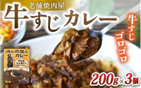 カレー 味園特選 牛すじカレー200g×3個 国産黒毛和牛 / 焼肉ホルモン味園 カレー 奈良県 葛城市[ajen002]