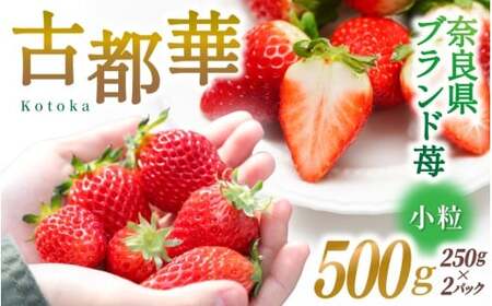 uh VN Ós () 500g [250g×2pbN] y2026N1{`5{ɏz^ X}C_ uh   Ƃ C`S XC[c t[c Â ʕ ޗǌ s