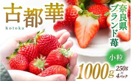 uh VN Ós () 1000g [250g×4pbN] y2026N1{`5{ɏz^ X}C_ uh   Ƃ C`S XC[c t[c Â ʕ ޗǌ 