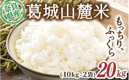 s\ R[ qmqJiājv20kg [ 10kg×2 ] ߘa7NY y2025N10{`z^ X}C_  ͂    ӂ _ƒ ޗǌ sysmlk0