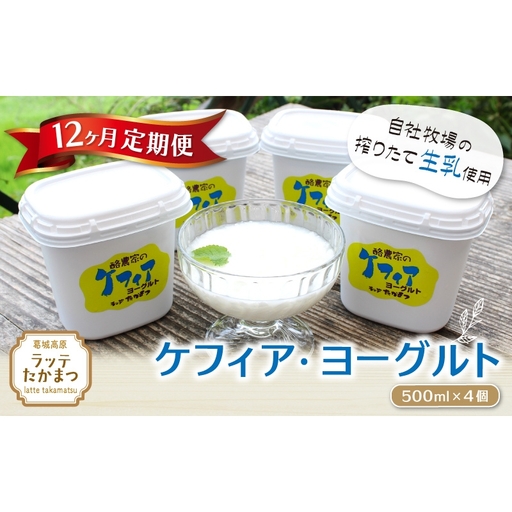【12ヵ月定期便】ケフィア・ヨーグルト500ml×4個 ／ 葛城 高原 牧場 ケフィア ヨーグルト【latt-tkb014】