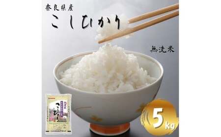 yߘa7NYāz ޗǌY Ђ 5kgi5kg×1܁j^ V S_p[CX    Y ޗǌ s  R CX  ͂ ӂ   