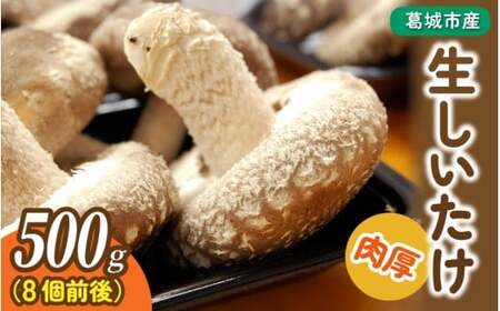 ����s�Y�����������i500g�j 8�O�� �ő� �V�C�^�P �� ���Y �Z�b�g 500g �V�N �ۏ� �X���C�X �ޗǌ� ����s�ykobo003�z