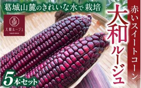 とうもろこし 先行予約 奈良県産 大和ルージュ 計5本 令和8年産 [2026年7月中旬〜10月中旬順次発送]葛城市[smlk036]