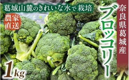 奈良県葛城産 ブロッコリー 約1kg [2025年11月上旬〜5月下旬順次発送]葛城市[smlk067]