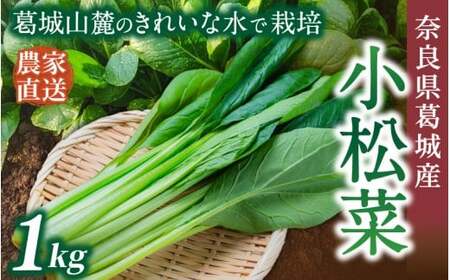 奈良県産 小松菜 約1kg [順次発送] 葛城市[smlk060]