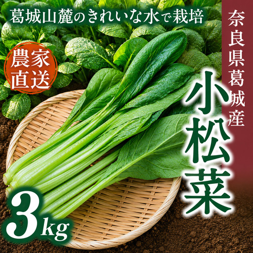 奈良県産 小松菜 約3kg  【順次発送】 葛城市【smlk061】