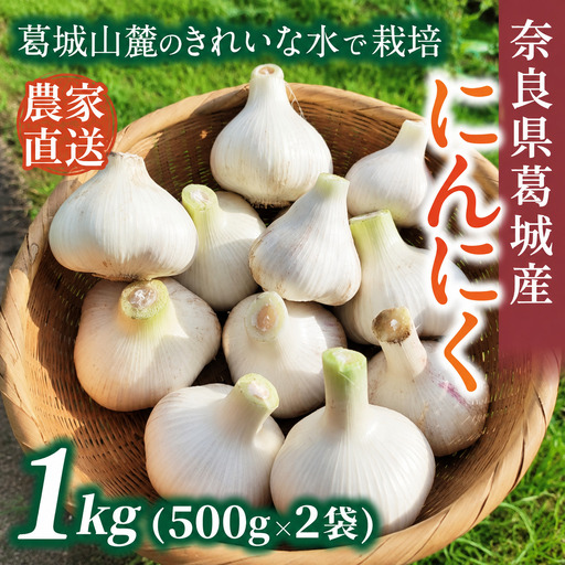 奈良県葛城産 にんにく 約1kg(500g×2袋)  【2026年5月上旬～7月下旬順次発送】 葛城市【smlk064】