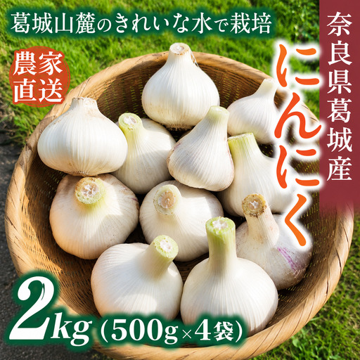 奈良県葛城産 にんにく 約2kg(500g×4袋)  【2026年5月上旬～7月下旬順次発送】 葛城市【smlk065】